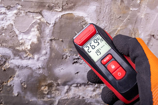 Best Post-Flood Mold Remediation in Lake Stickney, WA