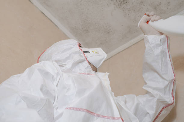 Best Kitchen Mold Remediation in Lake Stickney, WA